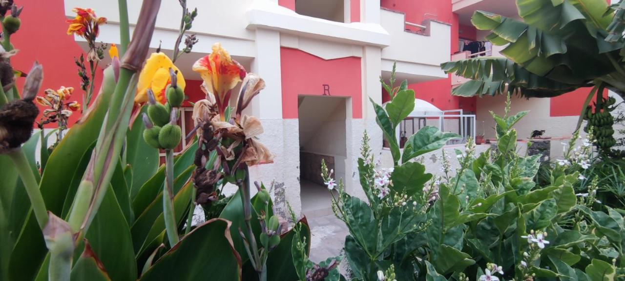 Sal Service Red Moradias Residence With Pool Santa Maria Dış mekan fotoğraf